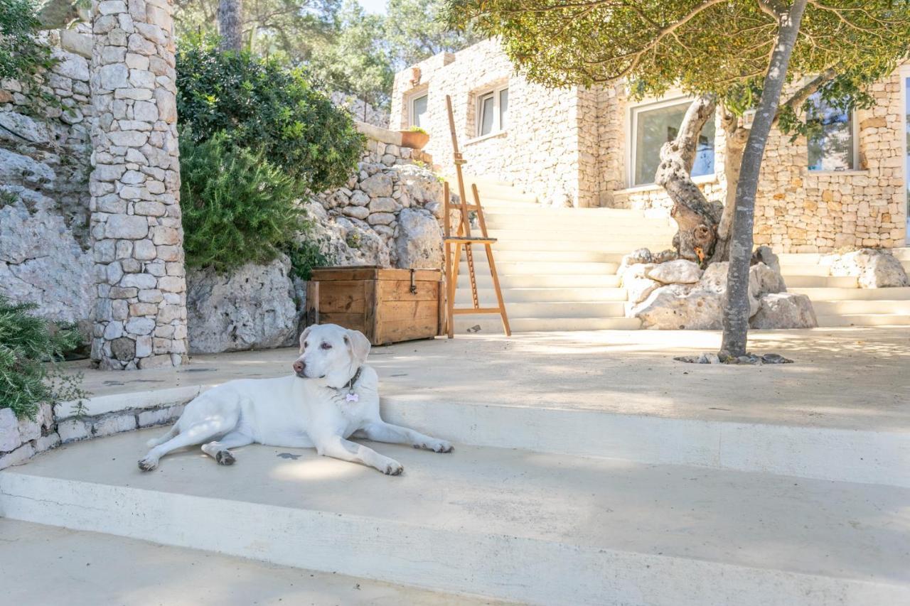 ホテル La Casa Del Fico Santa Maria di Leuca エクステリア 写真
