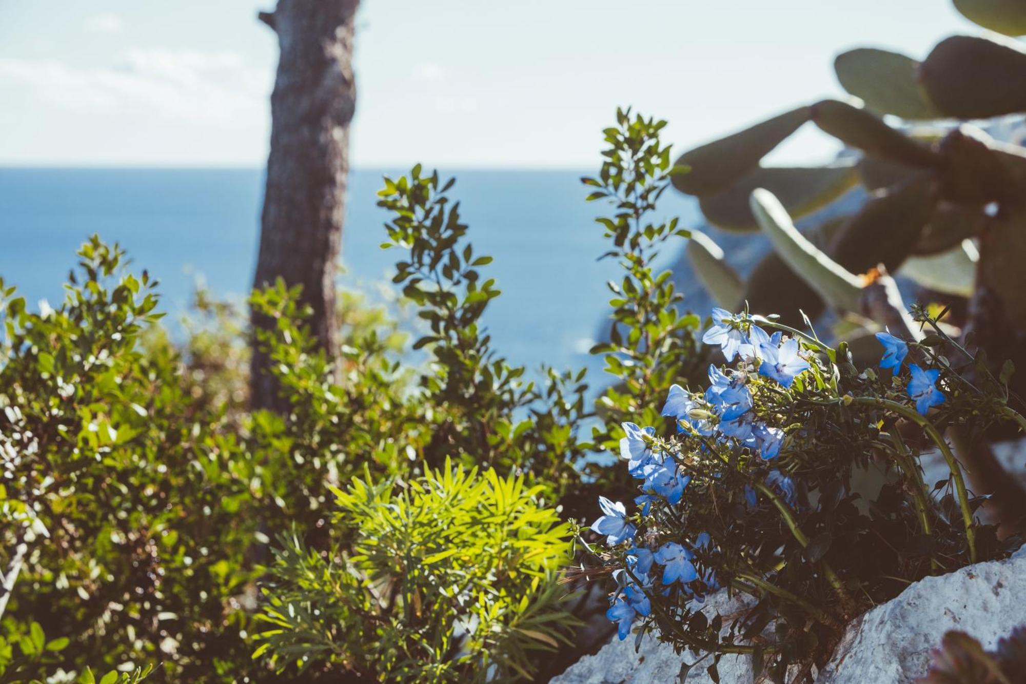 ホテル La Casa Del Fico Santa Maria di Leuca エクステリア 写真